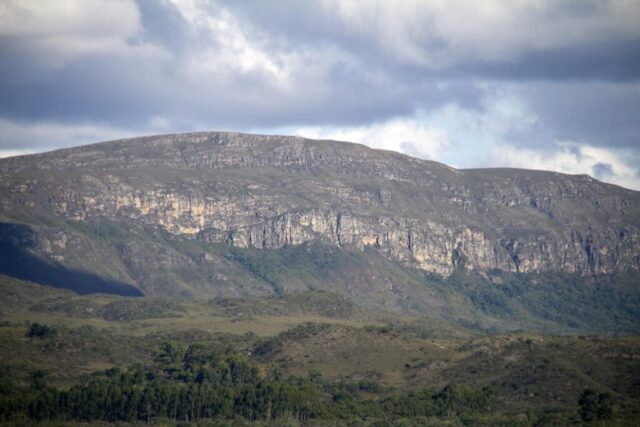 Cópia de _MG_1250 copy