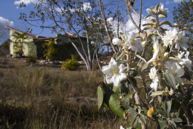 Orquídea Lodge (14)